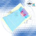 SET DE 3 PAÑITOS PARA LIMPIEZA