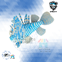 ADORNO PARA  PECERA LION FISH AZUL RAYADO