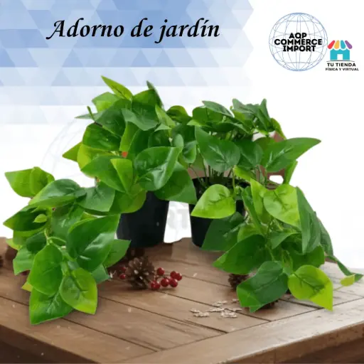 PLANTA ADORNO DE JARDÍN